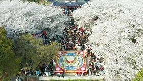 现在普宁到深圳坐高铁回广西需要做核酸检测吗？游戏画面