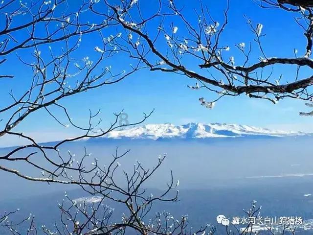 河北省委常委、统战部部长夏延军，当选为河北省人大常委会副主任